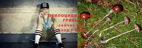 скорость Алексин