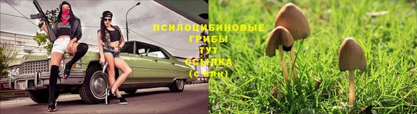 мефедрон мука Алексеевка