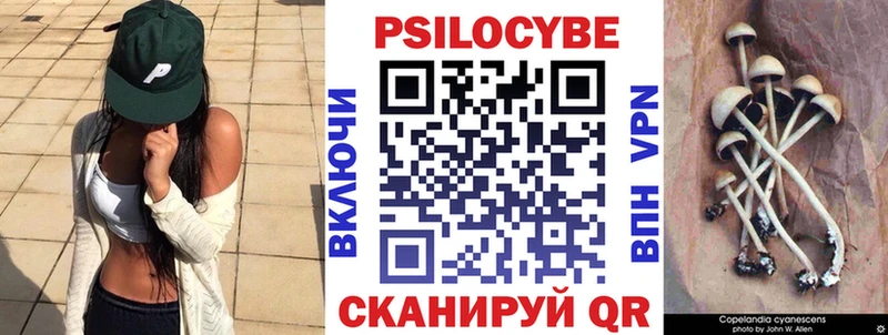 Псилоцибиновые грибы ЛСД  где купить наркоту  Заводоуковск 