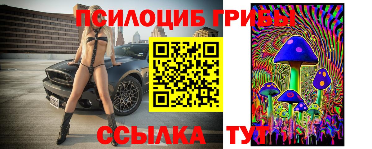 Заводоуковск  Галлюциногенные грибы Cubensis  Вход с VPN 