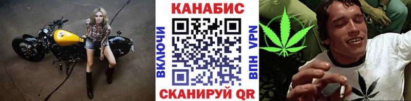 Канабис Amnesia  где купить наркоту  KRAKEN как войти  Заводоуковск 